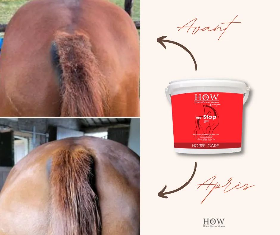 The Stop Gel
