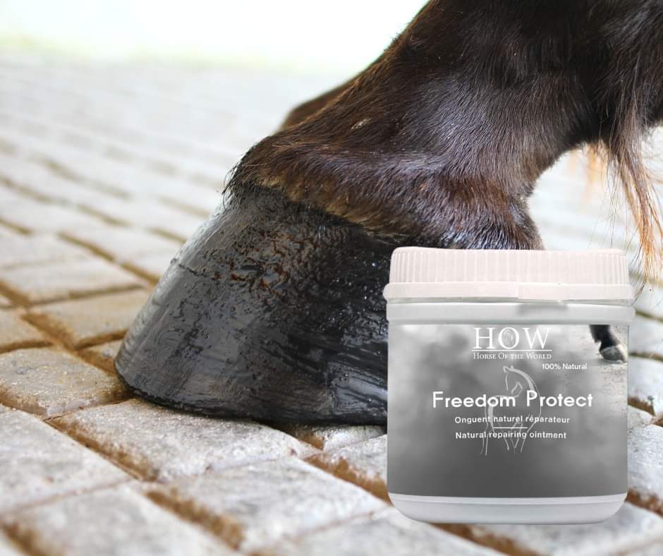 Freedom Protect Grease