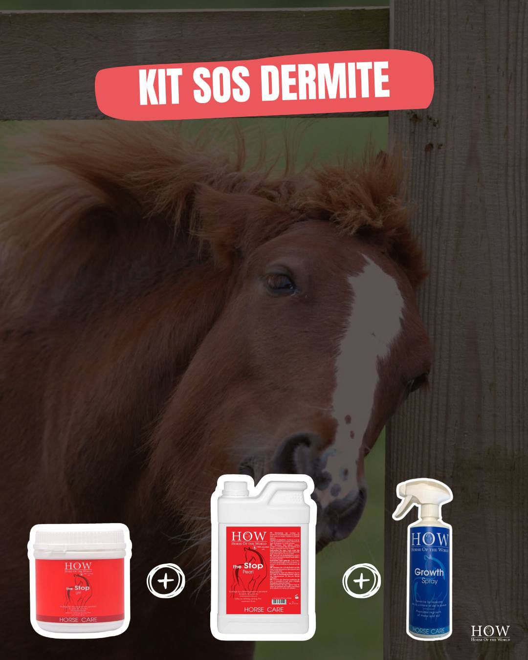 Kit SOS Dermite