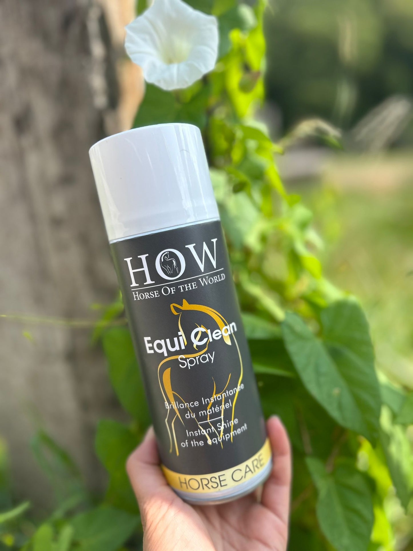 Equi Clean