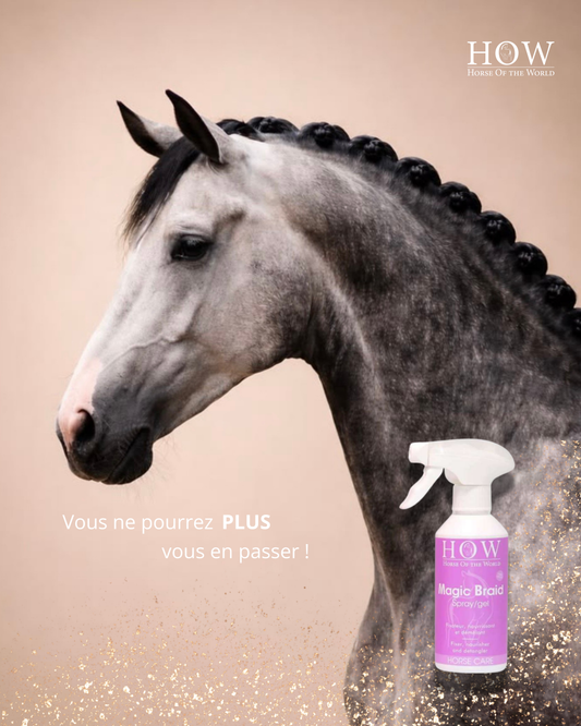 Des tresses parfaites pour ton cheval !