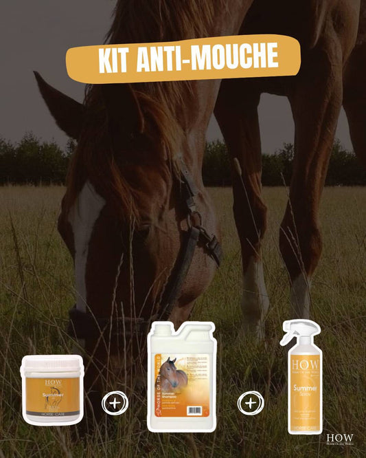 Kit Anti-Mouche